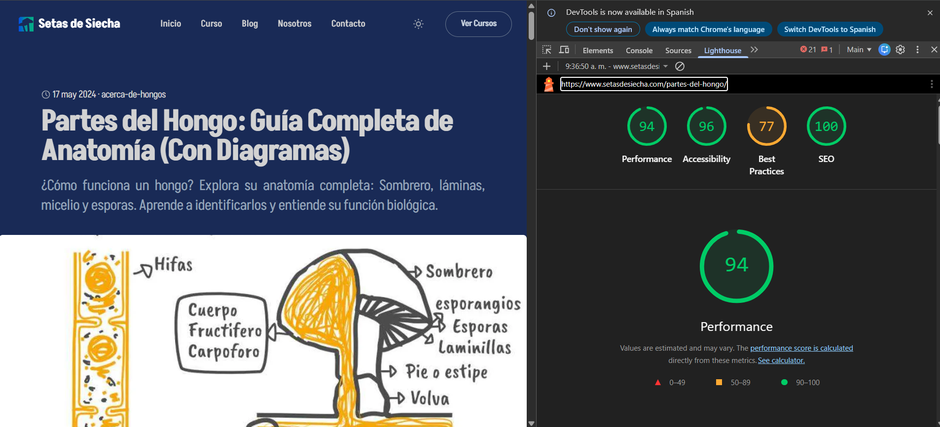 Lighthouse scores — Performance 94, Accessibility 96, Best Practices 77, SEO 100